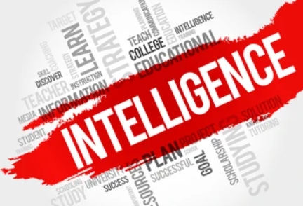 Mercer-wood solutions investment intelligence